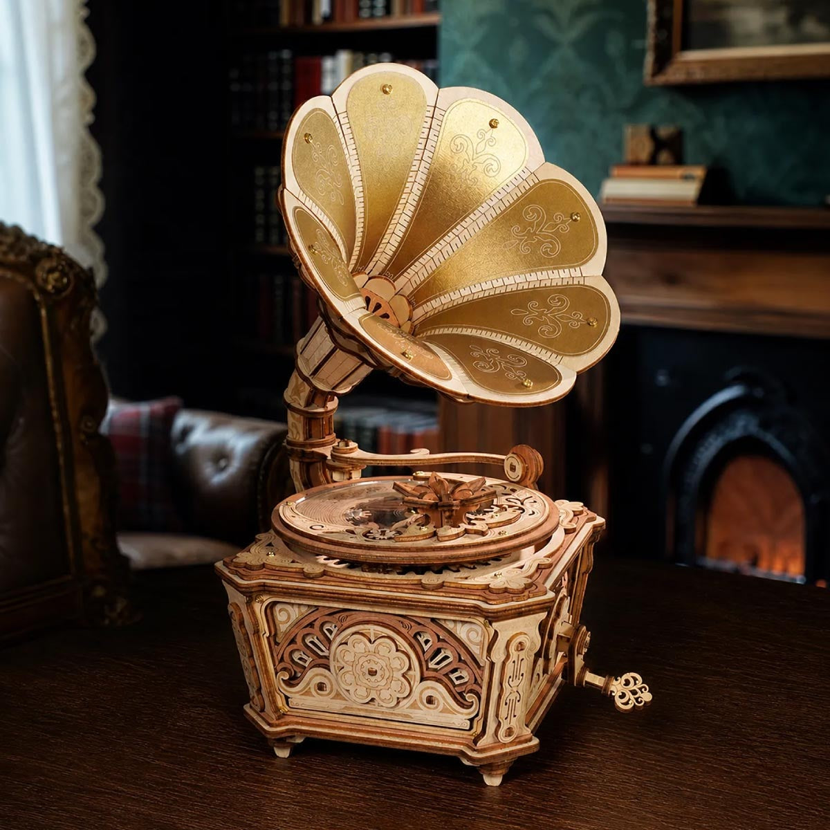 ROKR Diva Gramophone AMK82 — display setting DIY kit display