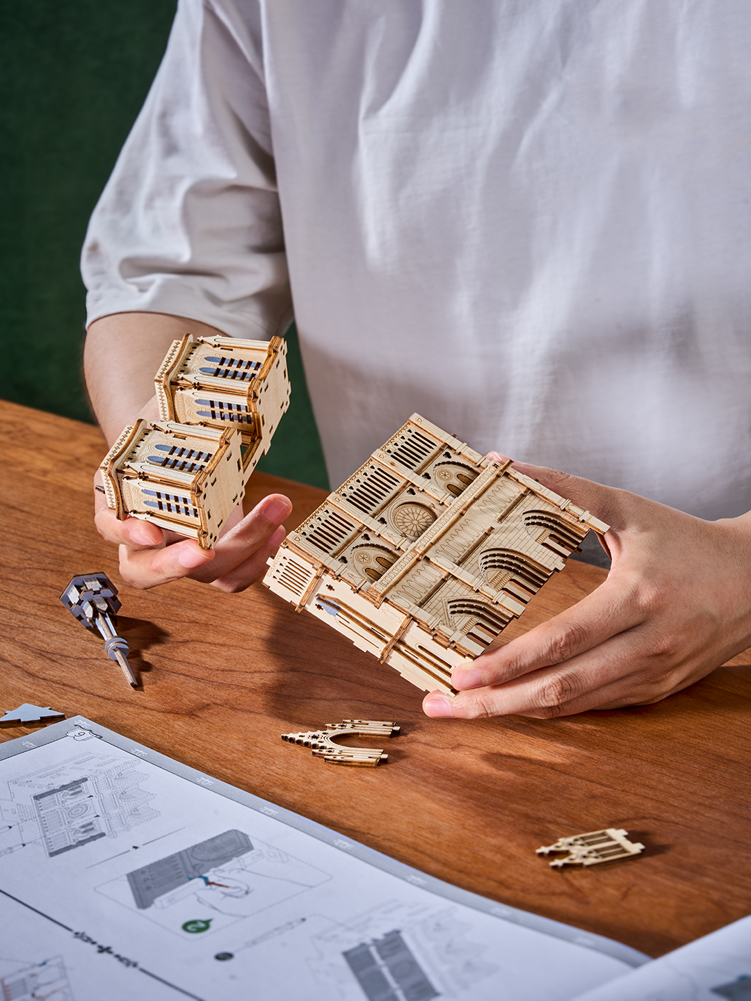 Rowood Paris Cathedral 3D Wooden Puzzle - TG511 | DIY Gothic Architecture Model with LED Lights for Adults