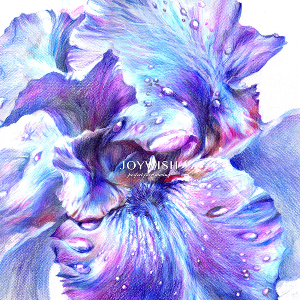 48 Colors Drawing Pencil Crayon Set Pencil Set Artist Painting Wooden Pencils