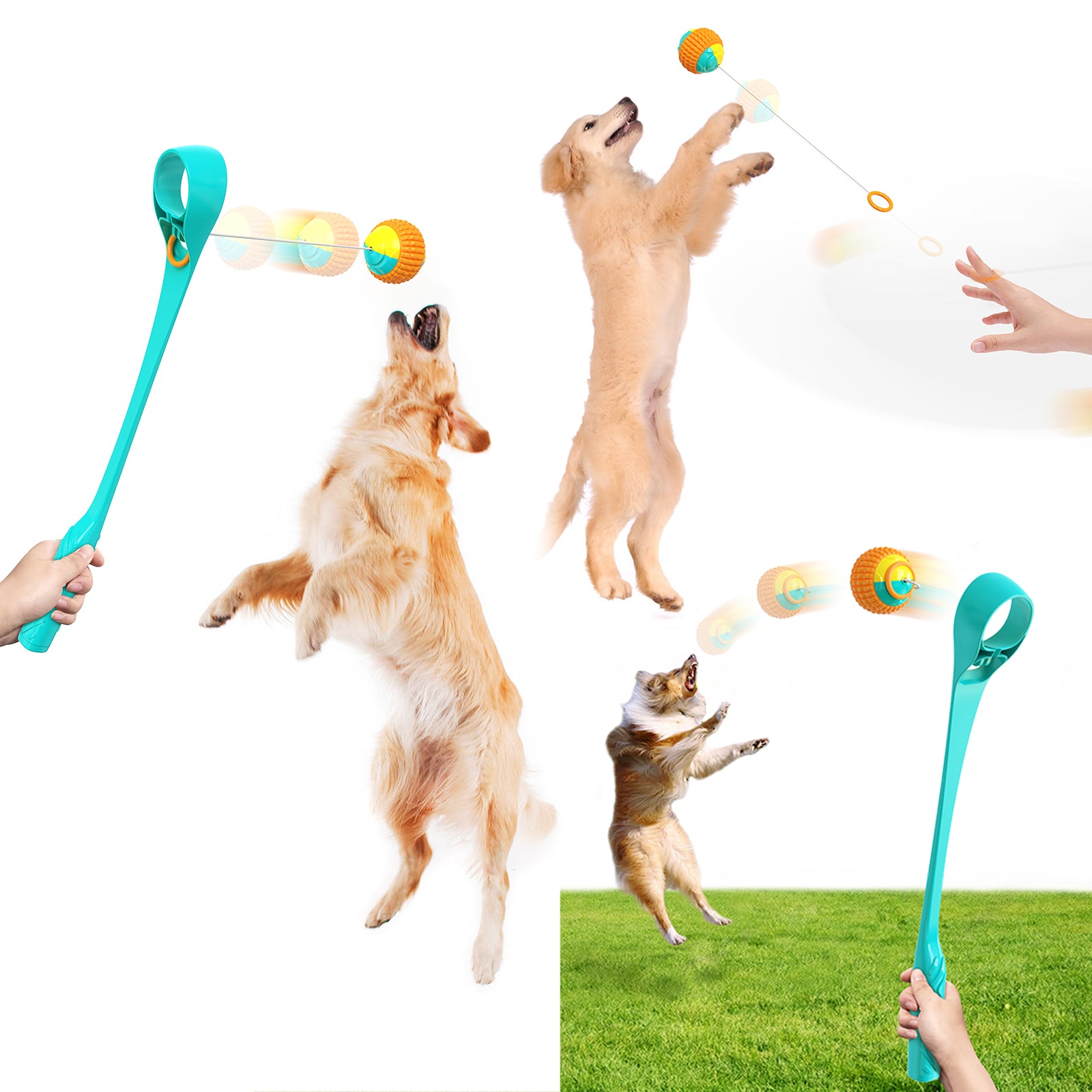Interactive Ring Retractable Rope Ball Popular Dog Fun Toy