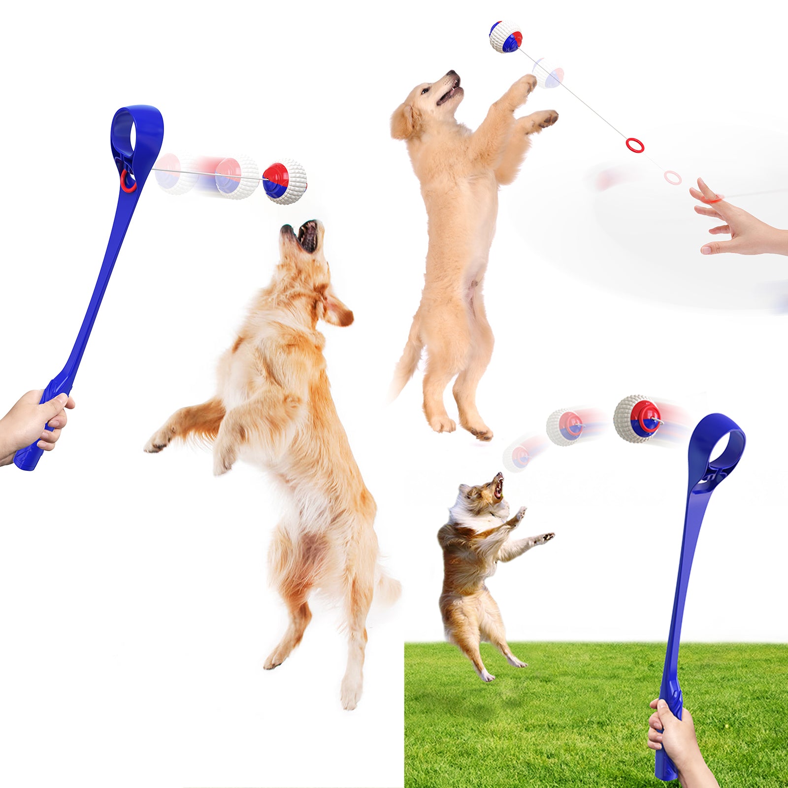 Interactive Ring Retractable Rope Ball Popular Dog Fun Toys