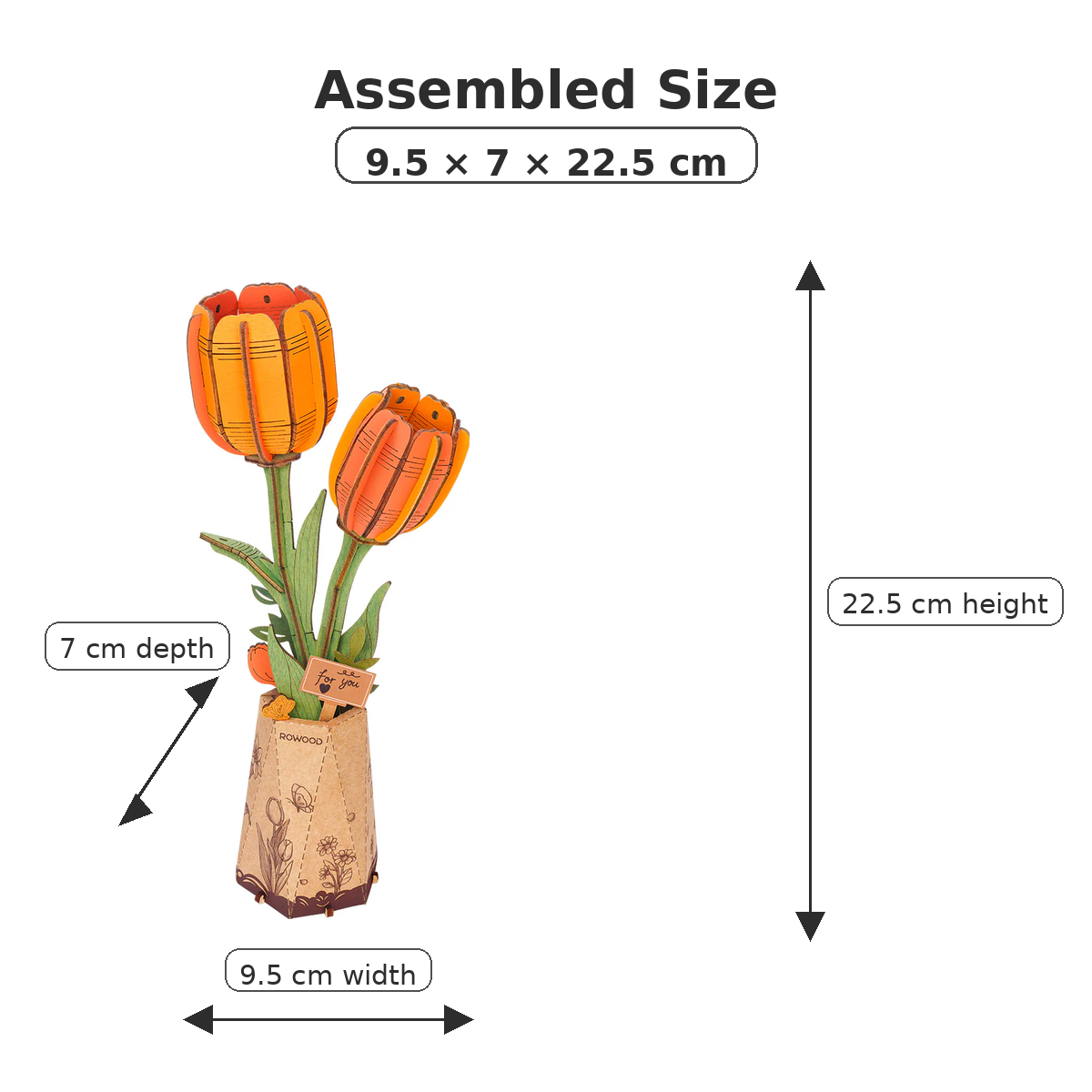 Rowood Orange Tulip TW081 size guide showing assembled dimensions of 9.5 by 7 by 22.5 cm.