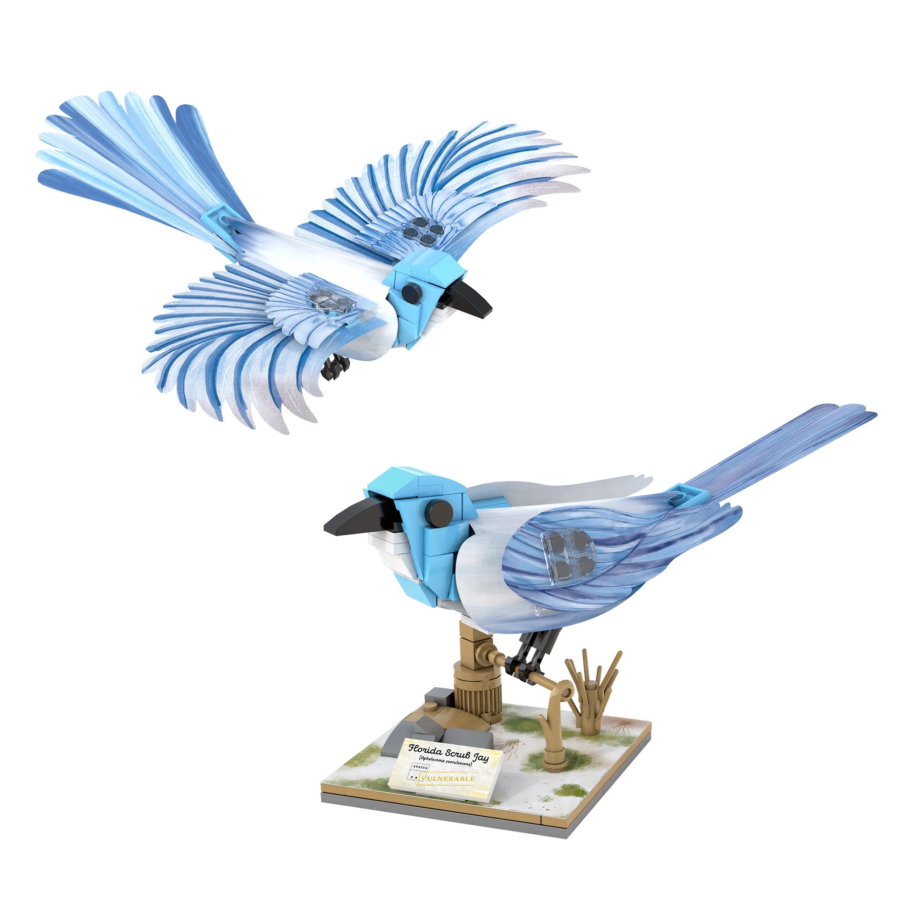CaDA C71025W 382 Pcs Elements Endangered Birds of North America building blocks Compatible with Lego