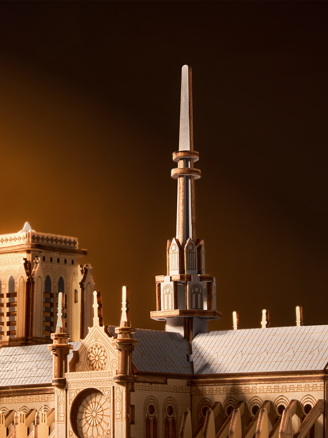 Rowood Paris Cathedral 3D Wooden Puzzle - TG511 | DIY Gothic Architecture Model with LED Lights for Adults