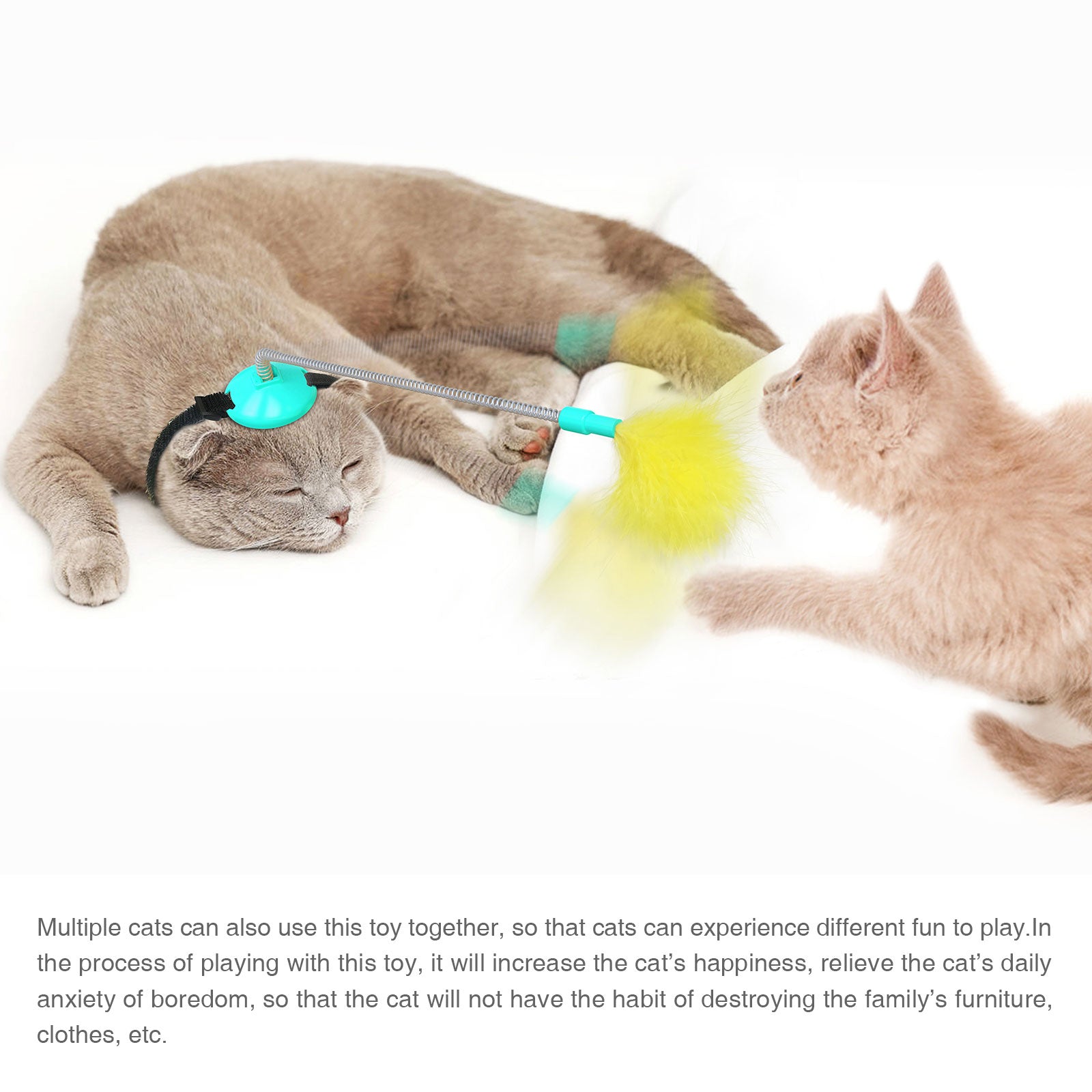 Cat Toys Feather Indoor Soft Silicone Collar and Bell Teaser Aqua