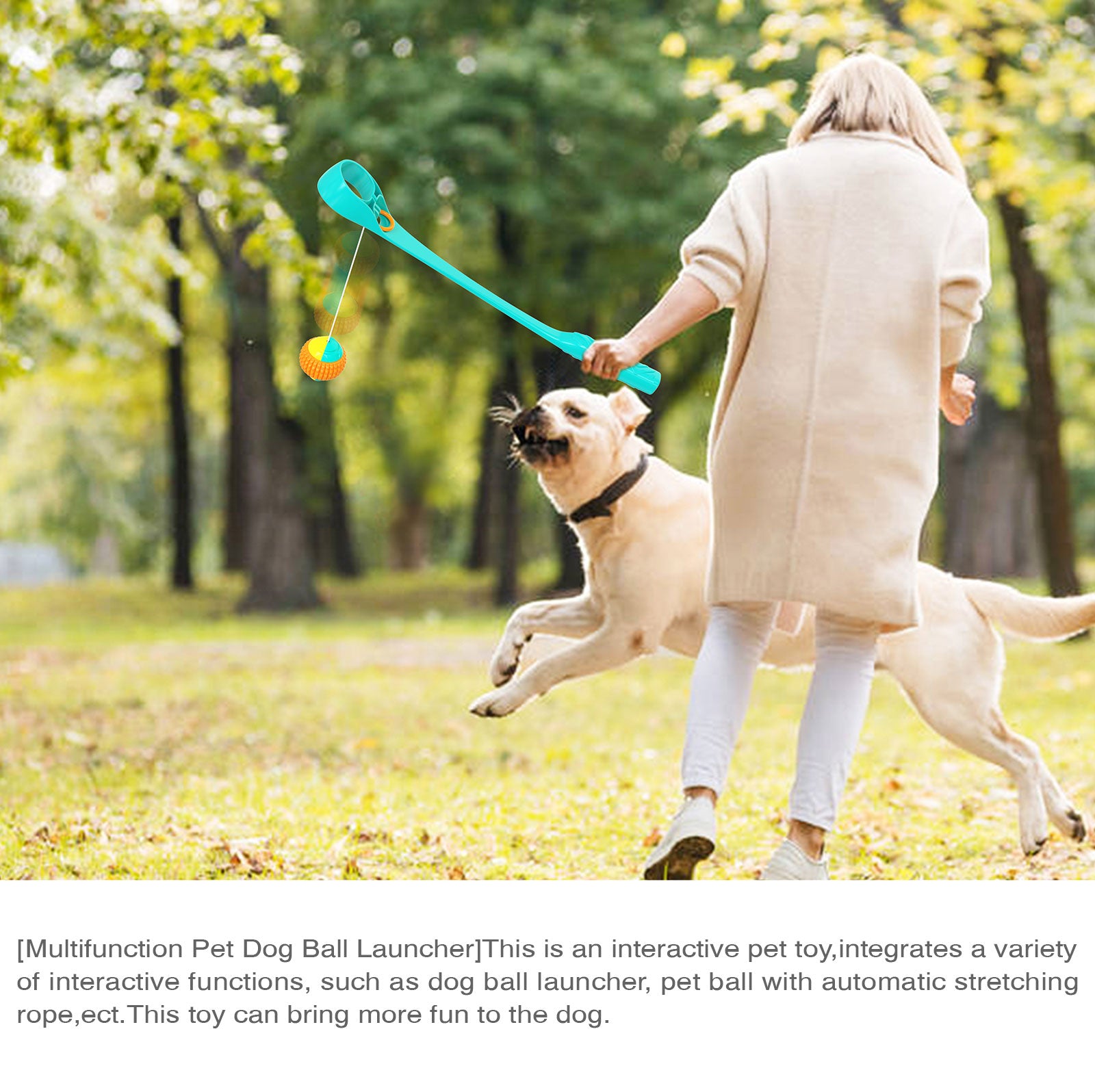 Interactive Ring Retractable Rope Ball Popular Dog Fun Toy