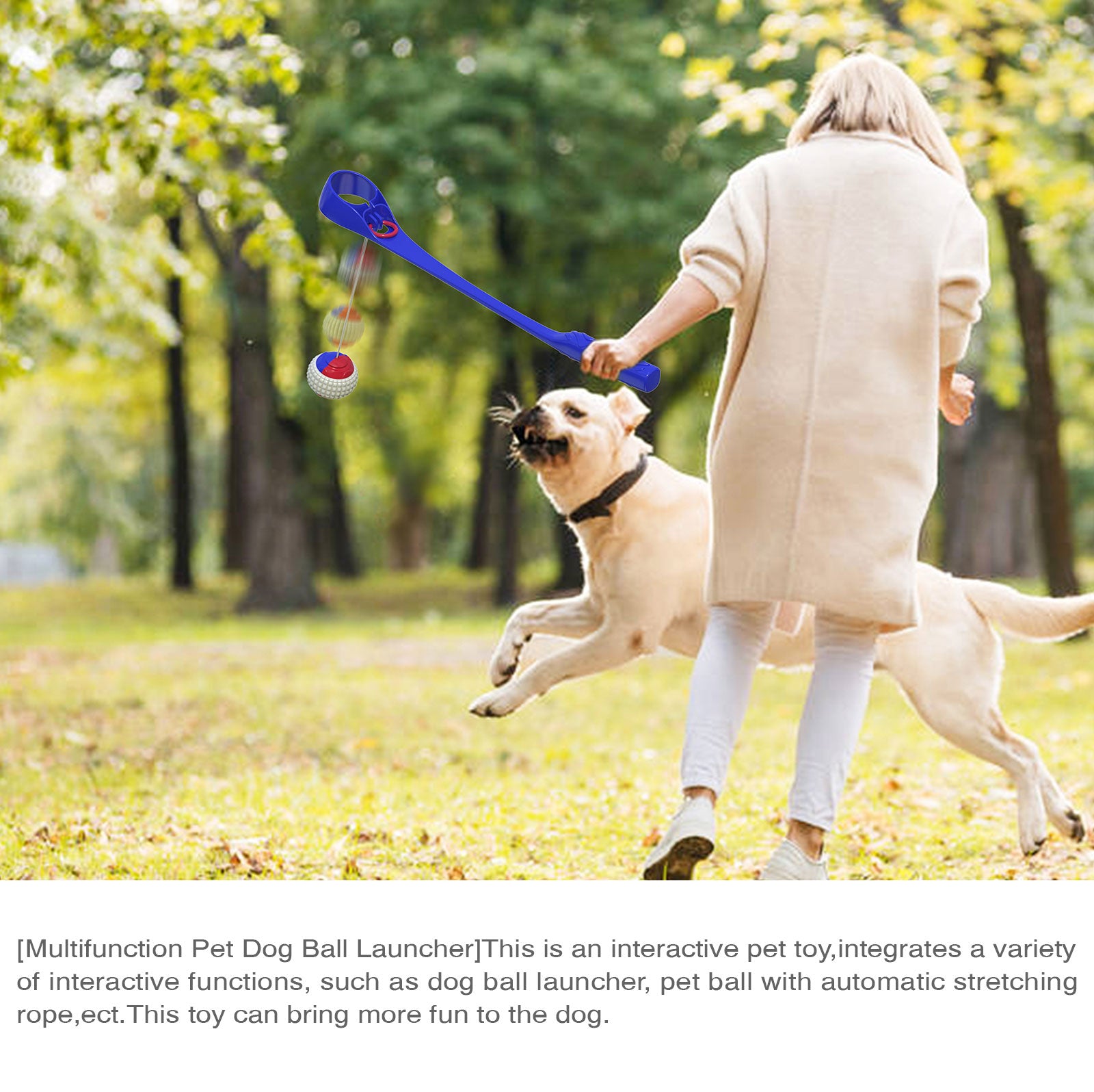 Interactive Ring Retractable Rope Ball Popular Dog Fun Toys