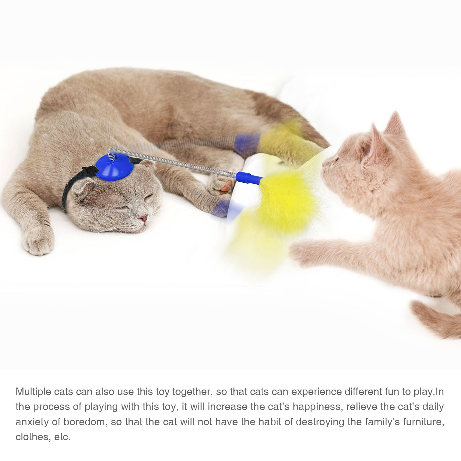 Cat Toys Cat Feather Indoor Soft Silicone Collar and Bell Teaser Blue