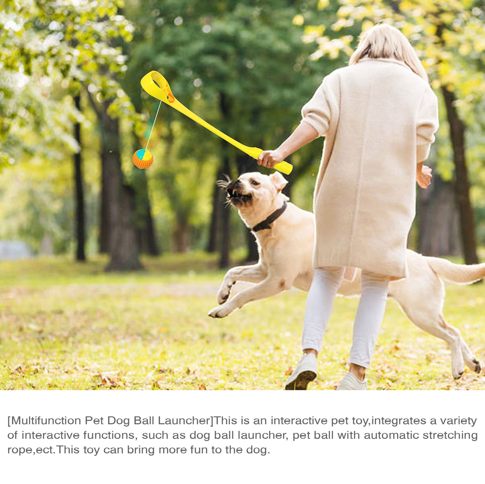 Interactive Ring Retractable Rope Ball Popular Dog Fun Toy Gift