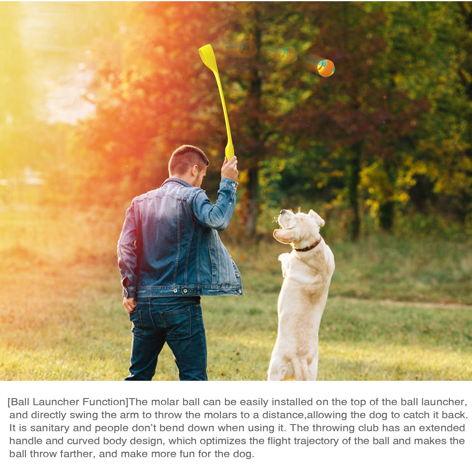 Interactive Ring Retractable Rope Ball Popular Dog Fun Toy Gift