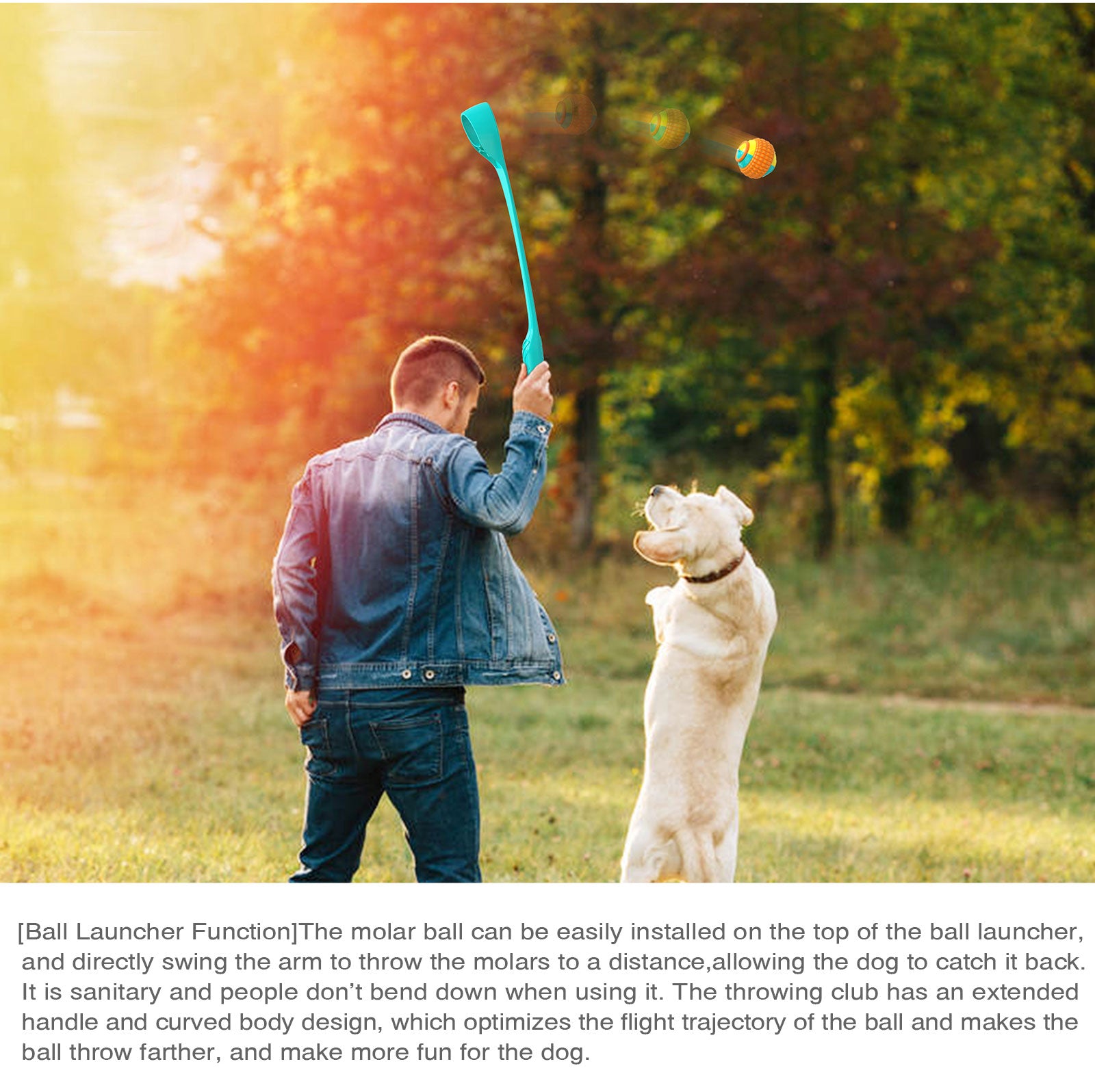 Interactive Ring Retractable Rope Ball Popular Dog Fun Toy