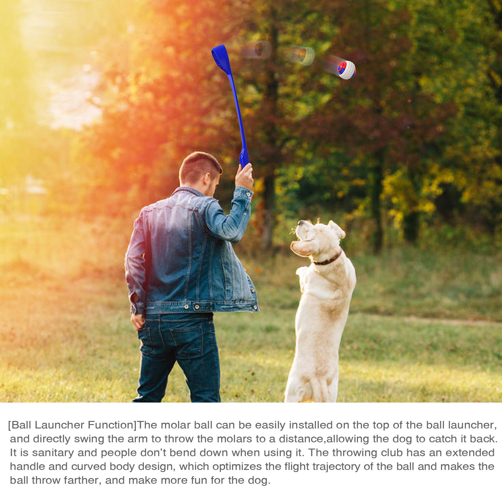 Interactive Ring Retractable Rope Ball Popular Dog Fun Toys