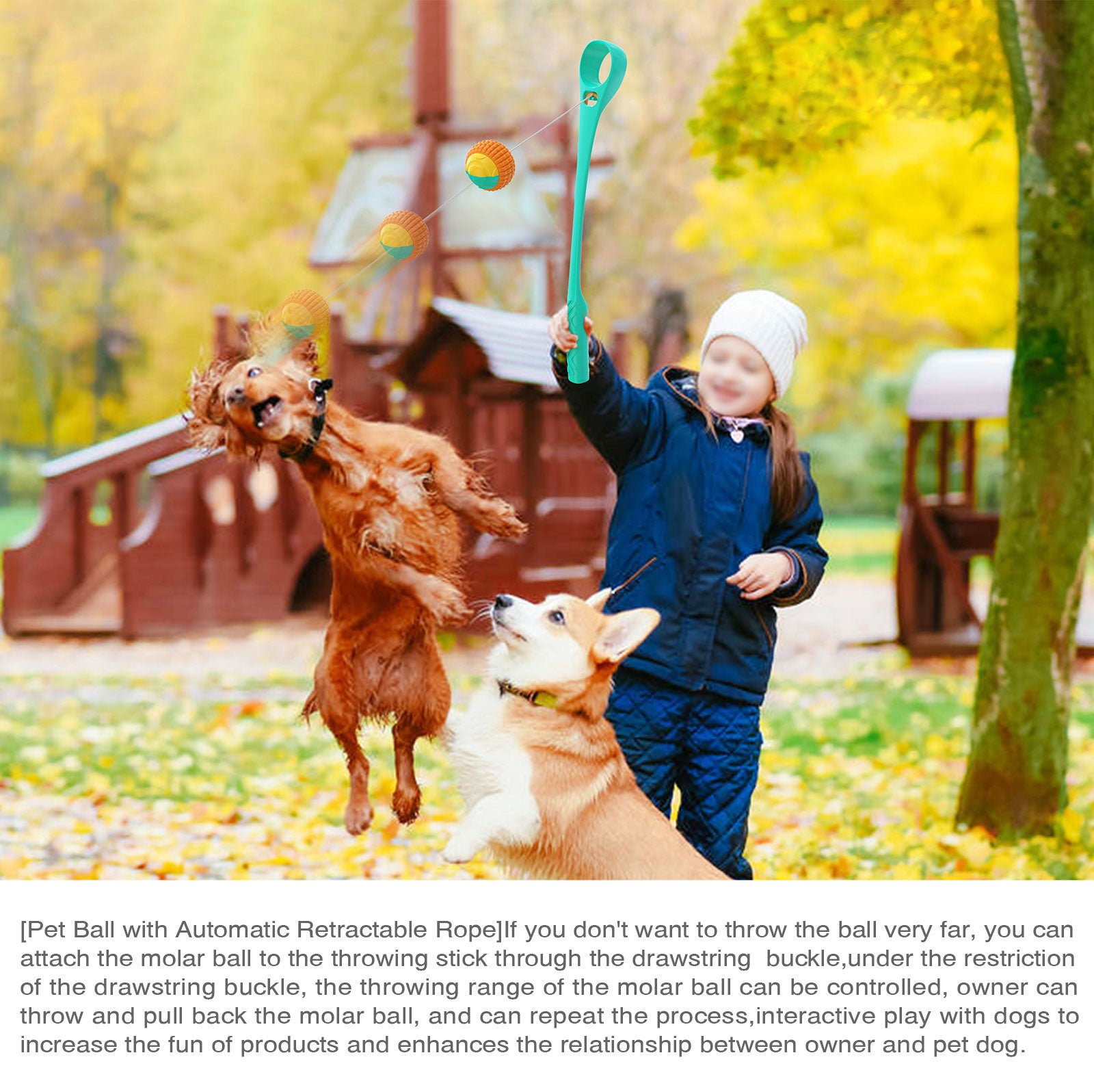 Interactive Ring Retractable Rope Ball Popular Dog Fun Toy