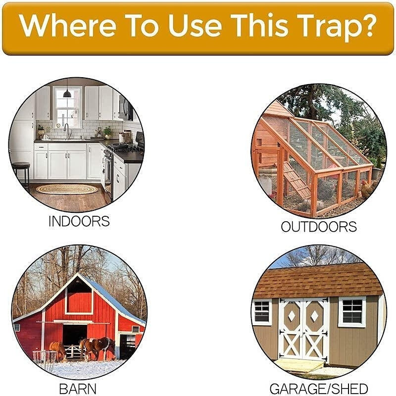 Rolling Lid Bucket Mouse Trap Efficient Humane Mice Mouse Trap safe handling