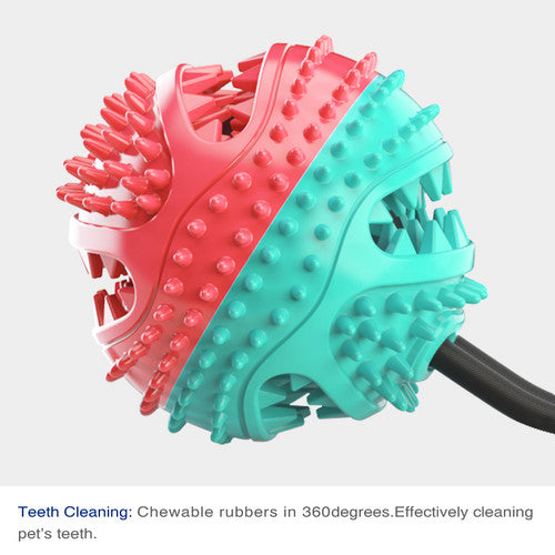 Dog Molar Bite Interactive Toy Multifunction Floor Suction Cup Balls Puppy Pet