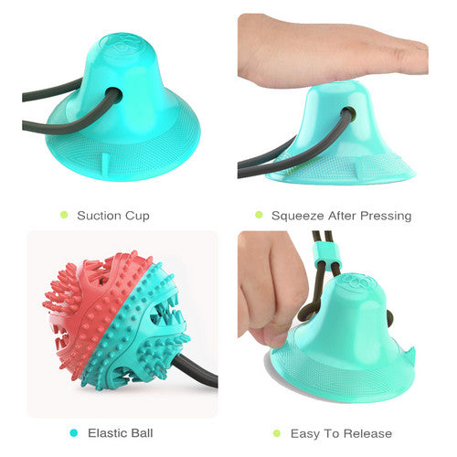 Dog Molar Bite Interactive Toy Multifunction Floor Suction Cup Balls Puppy Pet