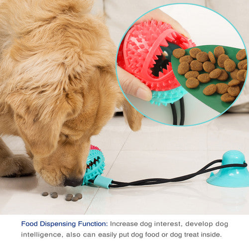 Dog Molar Bite Interactive Toy Multifunction Floor Suction Cup Balls Puppy Pet